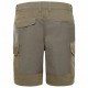 The North Face PANTALONCINI UOMO JUNCTION new taupe green