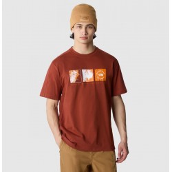 THE NORTH FACE T-shirt Graphic Outdoor da uomo BRANDY BROWN