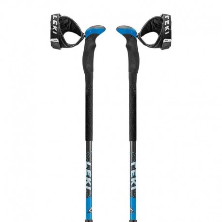 Leki AERGON 2 V