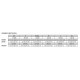 Zoot W Z FORCE 3.0 WETZOOT muta black/beet