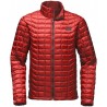 The North Face THERMOBALL HOODY JACKET UOMO BOTANICAL GARDEN GREEN
