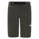 The North FaceSHORTS UOMO LIGHTNING NEW TAUPE GREEN