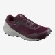 Salomon SENSE RIDE 3 Goji Berry / Quiet Shade / Red Orange