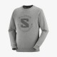 Salomon OUTLIFE LOGO SUMMER grey UNISEX