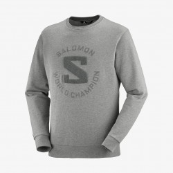 Salomon OUTLIFE LOGO SUMMER grey UNISEX
