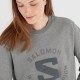 Salomon OUTLIFE LOGO SUMMER grey UNISEX