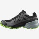 Salomon SPEEDCROSS 5 GTX  black/quiet shade/green gecko