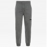 The North Face  PANTALONI LEGGERI NSE medium grey heather