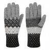 Salewa FANES WOOL GLOVES - GUANTI 