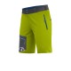 CRAZY IDEA SHORT RESOLUTION LIKEN