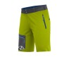 CRAZY IDEA SHORT RESOLUTION LIKEN