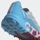 ADIDAS TERREX AGRAVIC FLOW 2 GTX Dash Grey / Magic Grey / Sky Rush