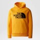 THE NORTH FACE Felpa con cappuccio Drew Peak da ragazzo SUMMIT GOLD