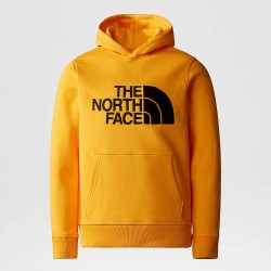THE NORTH FACE Felpa con cappuccio Drew Peak da ragazzo SUMMIT GOLD