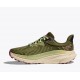 HOKA Challenger ATR 7 DONNA Forest Floor / Beet Root