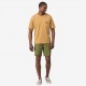 Patagonia Men's Hydropeak Hybrid Walk Shorts - 19" Buckhorn Green