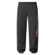 THE NORTH FACE Joggers Varsity con grafica da uomo MEDIUM GREY HEATHER