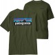 PATAGONIA Men's P-6 Logo Responsibili-Tee TORREY PINE GREEN