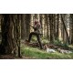 CRISPI TRACK GTX CR FOREST
