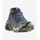 SALOMON SPEEDCROSS 6 GTX Grisaille / Carbon / Tea