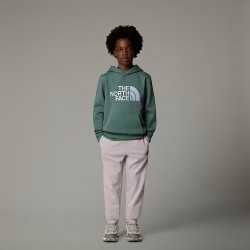 THE NORTH FACE Felpa con cappuccio Drew Peak da ragazzo DUCK GREEN