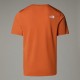 THE NORTH FACE T-SHIRT LIGHTBRIGHT DA UOMO Iron Bronze