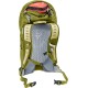 DEUTER AC Lite 16 LINDEN-CACTUS