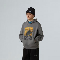 THE NORTH FACE Felpa con cappuccio Sports Oversized Graphic da ragazzo Smoked Pearl  Smoked Pearl
