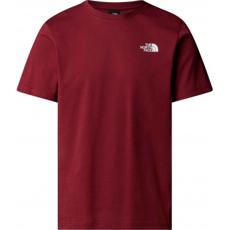 THE NORTH FACE T-shirt NSE Box da uomo SUMAC/ASPHALT GREY