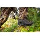 CRISPI NEVADA LEGEND EFX GTX FOREST