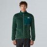 THE NORTH FACE Giacca Alpedge Polartec® High Loft™ da uomo Duck Green-Deep Nori
