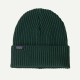 Patagonia Fisherman's Rolled Beanie cascade green UNISEX