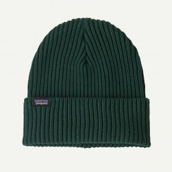 Patagonia Fisherman's Rolled Beanie cascade green UNISEX