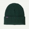 Patagonia Fisherman's Rolled Beanie cascade green UNISEX