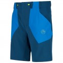Shorts/Costumi