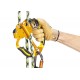PETZL ASCENTREE