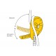 Petzl I’D® S  Discensore autofrenante con funzione antipanico giallo